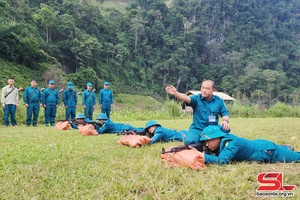 'Thực hiện tốt nhiệm vụ quân sự quốc phòng địa phương