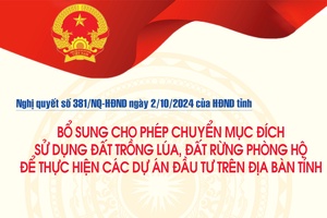 'Bổ sung cho phép chuyển mục đích sử dụng đất trồng lúa, đất rừng phòng hộ để thực hiện các dự án đầu tư trên địa bàn tỉnh