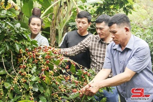 'Học và làm theo Bác gắn với nâng cao chất lượng sinh hoạt chi bộ