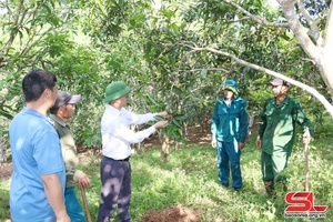 Chiềng Hặc nỗ lực giảm nghèo cho nhân dân