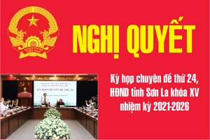 'Bổ sung cho phép chuyển mục đích sử dụng đất để thực hiện các dự án đầu tư năm 2024 trên địa bàn tỉnh