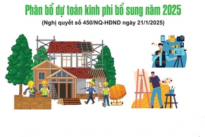 'Phân bổ dự toán kinh phí bổ sung năm 2025