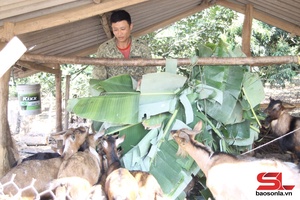 'Hội viên nông dân làm kinh tế giỏi