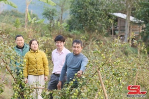 'Hiệu quả vốn tín dụng chính sách giúp nhân dân thoát nghèo