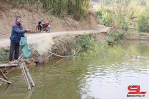 'Nông dân sản xuất giỏi