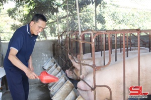 'Làm giàu từ mô hình kinh tế tổng hợp