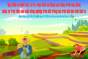 Quyết định số 39-2025/QĐ-UBND