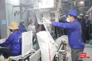 'Đơn vị dẫn đầu phong trào thi đua khối doanh nghiệp