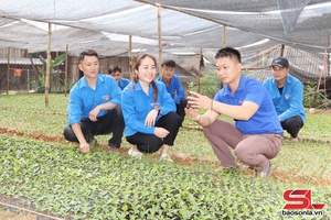 'Lãnh đạo nhân dân phát triển kinh tế
