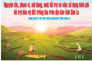 'Nghị quyết số 108/2025/NQ-HĐND