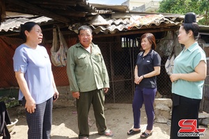 'Khó khăn trong di dời cơ sở chăn nuôi ra khỏi khu dân cư