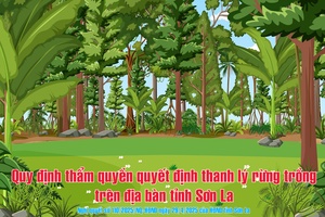 Nghị quyết số 110/2025/NQ-HĐND
