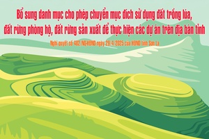 'Bổ sung danh mục cho phép chuyển mục đích sử dụng đất trồng lúa, đất rừng phòng hộ, đất rừng sản xuất để thực hiện các dự án trên địa bàn tỉnh