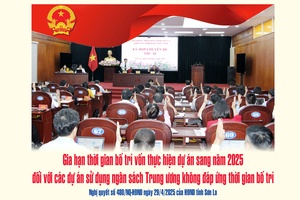 'Nghị quyết số 480/NQ-HĐND