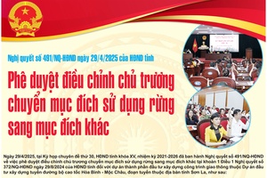 'Phê duyệt điều chỉnh chủ trương chuyển mục đích sử dụng rừng sang mục đích khác