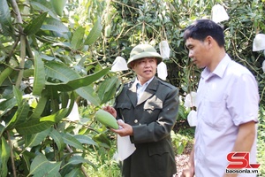 'Cựu chiến binh giúp nhau làm kinh tế giỏi