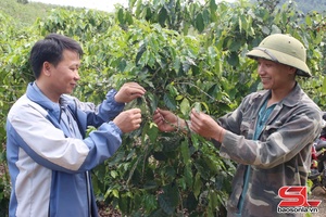 'Nông dân Sốp Cộp làm theo lời Bác
