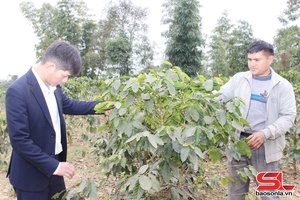 'Khai thác lợi thế phát triển kinh tế bền vững