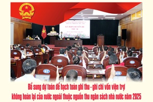 'Bổ sung dự toán để hạch toán ghi thu - ghi chi vốn viện trợ không hoàn lại của nước ngoài thuộc nguồn thu ngân sách nhà nước năm 2025