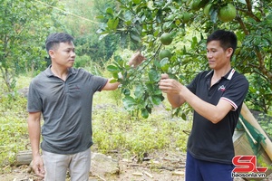 'Học Bác bằng những nội dung đột phá, mô hình cụ thể