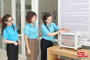 'Hiệu quả quỹ tiết kiệm tặng thẻ bảo hiểm y tế