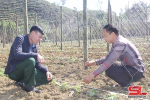 'Nông dân Tô Múa thi đua phát triển kinh tế