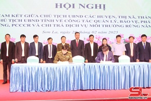 'Phát huy vai trò nòng cốt, chuyên trách trong quản lý, bảo vệ, phát triển rừng