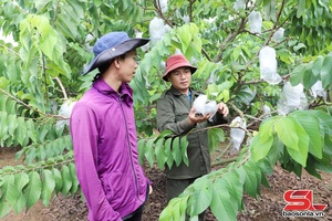 'Làm chủ khoa học kỹ thuật trong sản xuất nông nghiệp