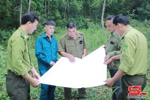 'Giữ rừng dựa vào cộng đồng