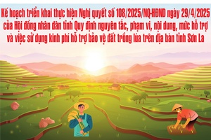 'Kế hoạch số 140/KH-UBND