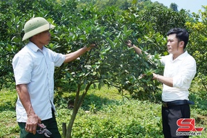 'Hỗ trợ các hợp tác xã phát triển bền vững