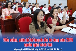 'Điều chỉnh, phân bổ kế hoạch đầu tư công năm 2025 nguồn ngân sách tỉnh