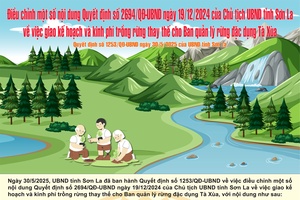 'Quyết định số 1253/QĐ-UBND
