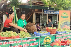 'Đẩy mạnh xúc tiến tiêu thụ xoài