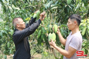 'Hiệu quả mô hình nghề nghiệp “5 tự”, “5 cùng”