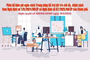 'Phân bổ kinh phí ngân sách Trung ương hỗ trợ chi trả chế độ, chính sách theo Nghị định số 178/2024/NĐ-CP và Nghị định số 67/2025/NĐ-CP của Chính phủ
