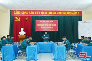 Xây dựng lực lượng DQTV vững mạnh, toàn diện