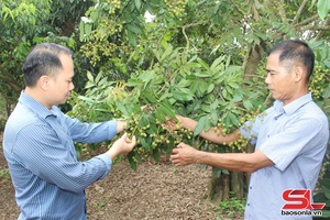 'Năng động phát triển kinh tế