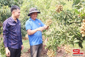 'Thanh niên tiêu biểu làm kinh tế giỏi