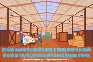 'Công bố chuẩn hóa Danh mục thủ tục hành chính và phê duyệt quy trình nội bộ giải quyết thủ tục hành chính lĩnh vực Chăn nuôi và Thú y