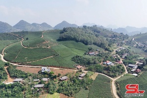 'Phát triển kinh tế - xã hội vùng dân tộc thiểu số