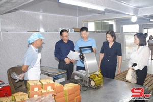 'Hỗ trợ ứng dụng máy móc thiết bị sản xuất, chế biến sữa chua khô