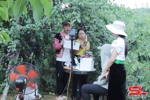 'Chuyển đổi số trong sản xuất và tiêu thụ sản phẩm
