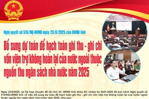 'Nghị quyết số 515/NQ-HĐND
