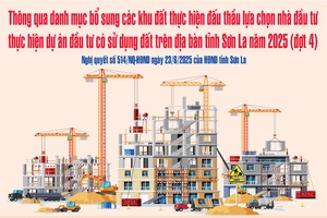 Thông qua danh mục bổ sung các khu đất thực hiện đấu thầu lựa chọn nhà đầu tư thực hiện dự án đầu tư có sử dụng đất trên địa bàn tỉnh Sơn La năm 2025 (đợt 4)