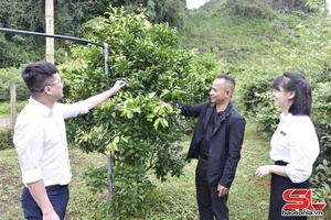 'Gieo cơ hội, gặt thành công