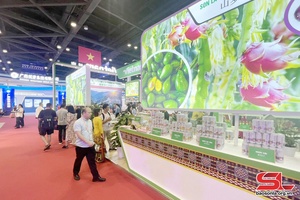 'Chủ động liên kết, hội nhập quốc tế