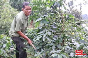 Phát huy phẩm chất “Bộ đội Cụ Hồ”