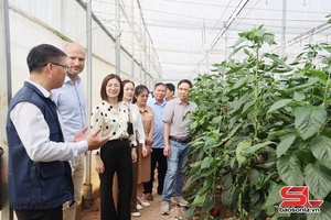 'HTX tiêu biểu trong liên kết sản xuất
