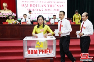 'Nâng cao chất lượng đội ngũ cấp ủy cơ sở